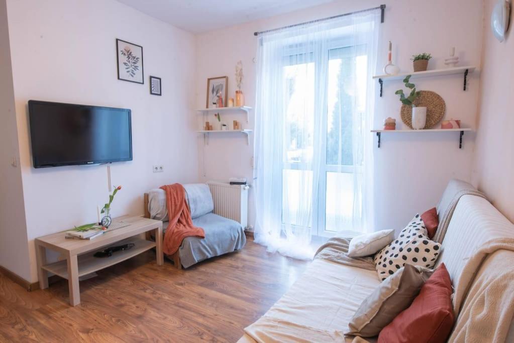 Home Studio Z Ogrodkiem I Altana Cracovia Exterior foto