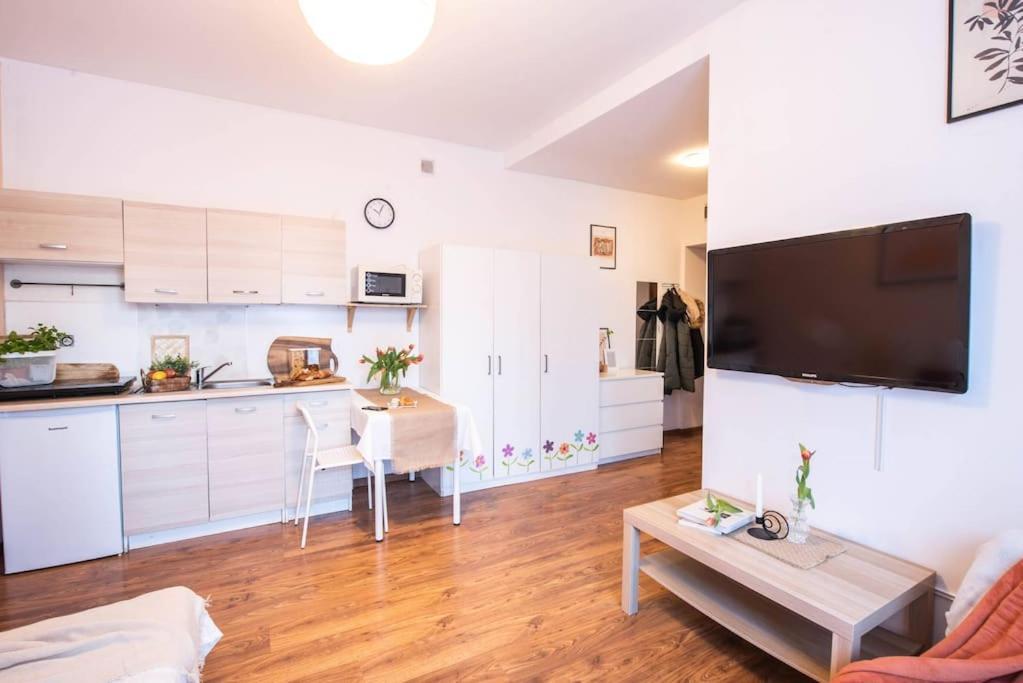 Home Studio Z Ogrodkiem I Altana Cracovia Exterior foto